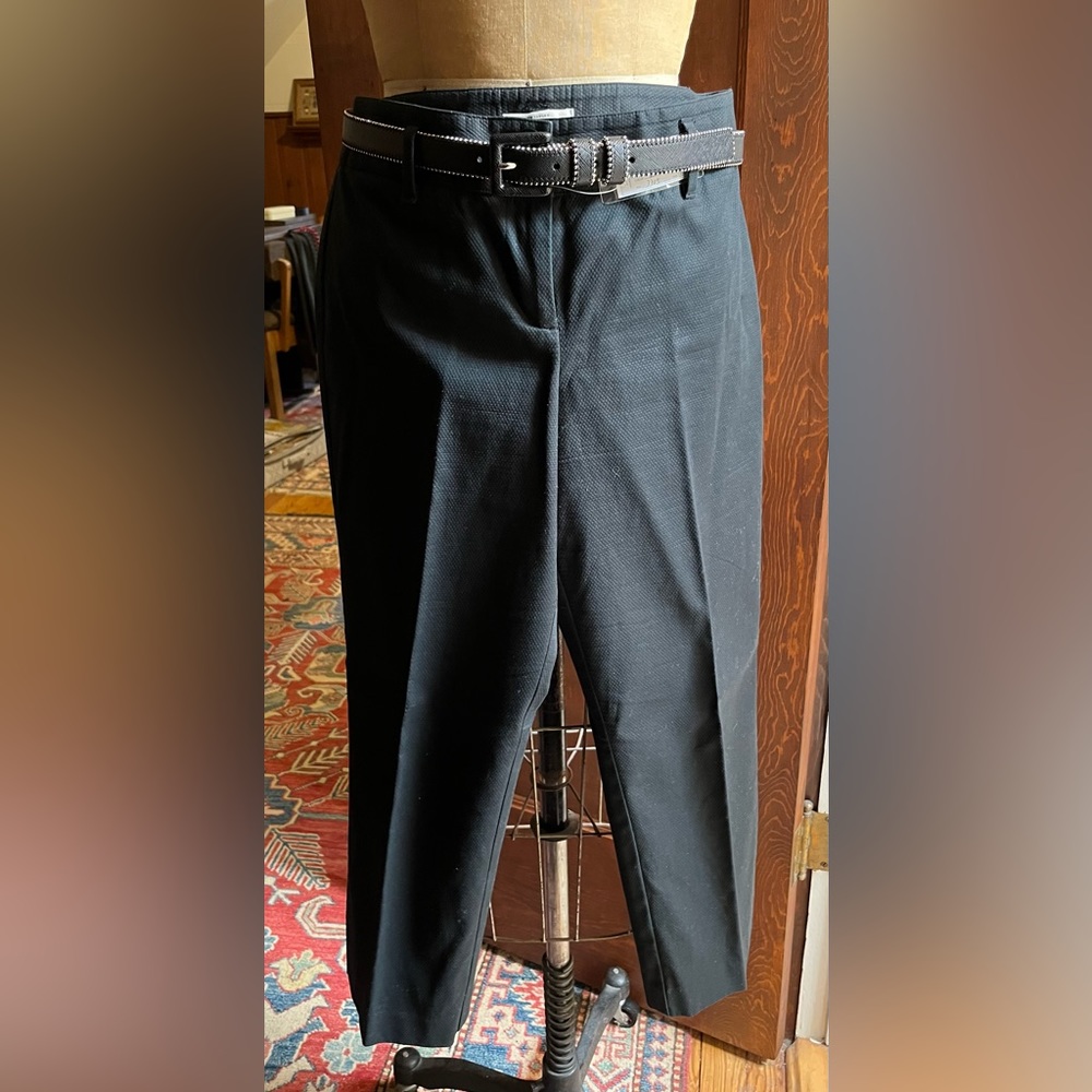 Ann Taylor LOFT Capri